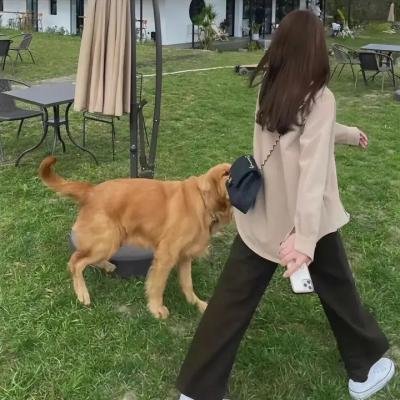 张译